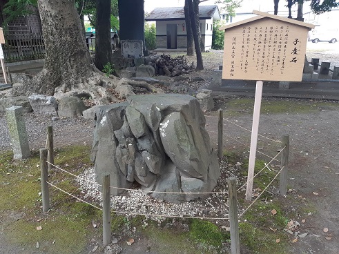 日吉神社の子授かり・安産