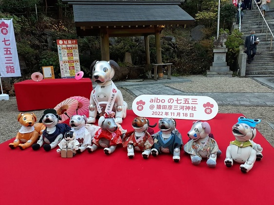 猿田彦三河神社aibo七五三