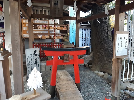 洲崎神社の鳥居くぐり